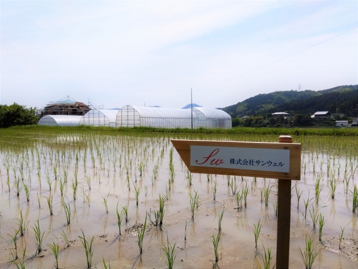 『田んぼオーナー権』を購入し、日和ファーム様を応援！